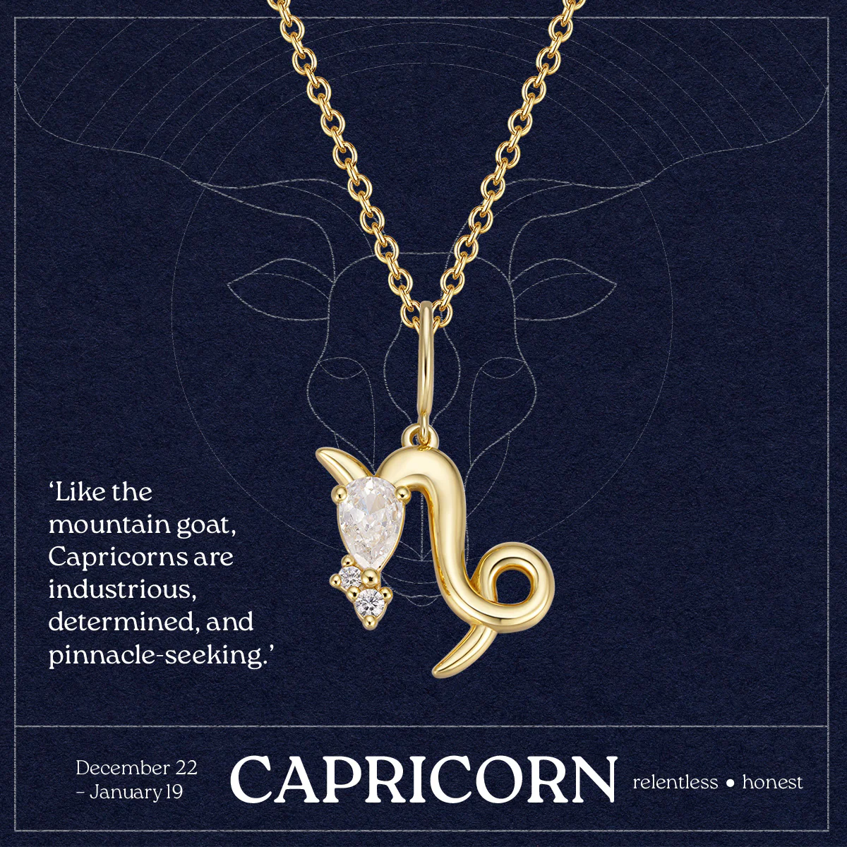 Capricorn Necklace - Image 10