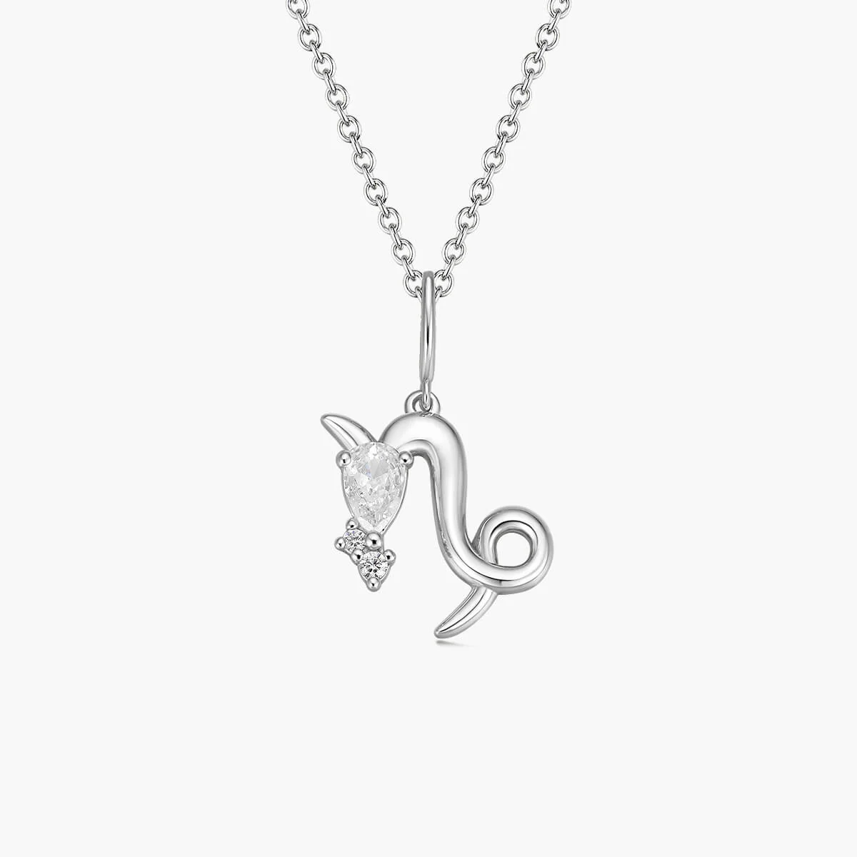 Capricorn Necklace - Image 2