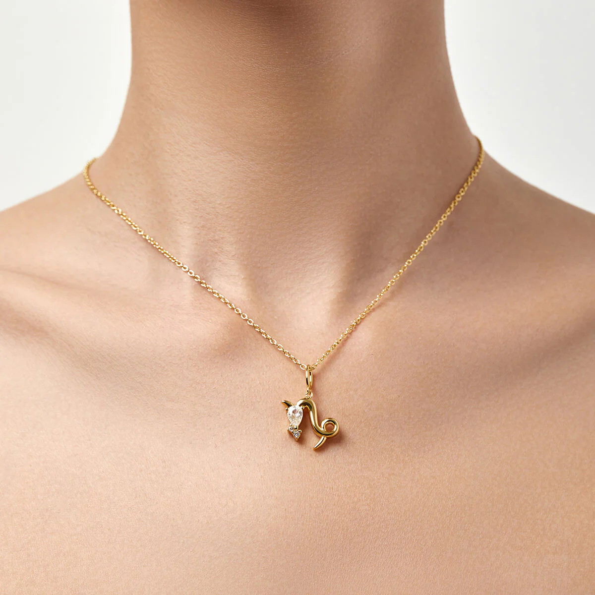 Capricorn Necklace - Image 3