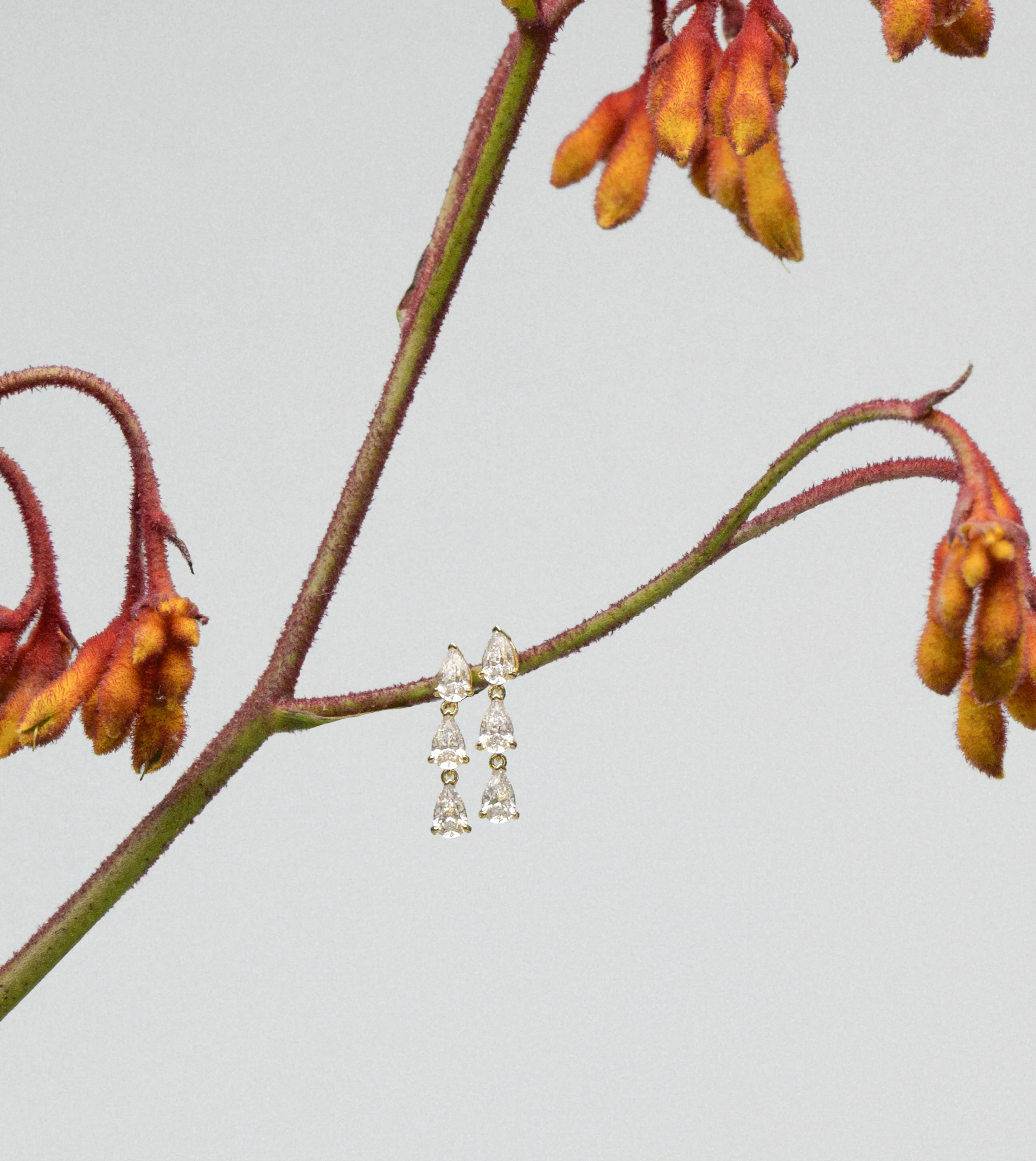 Venus Earrings - Image 6